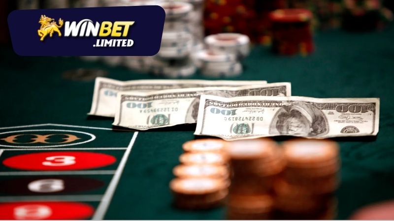 Các chương trình khuyến mãi tại Winbet