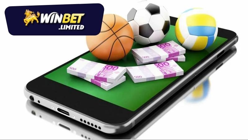 Đánh giá trải nghiệm người dùng tại Winbet cá cược khủng