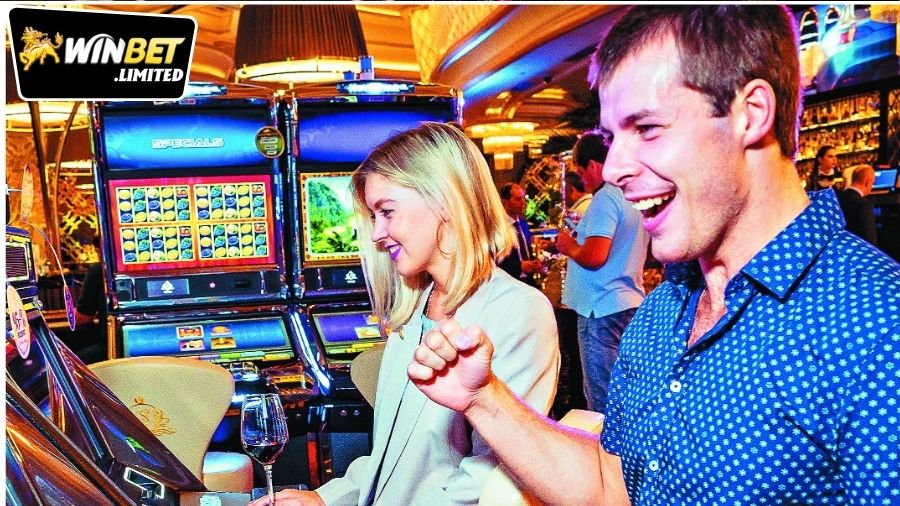 Các trò chơi phổ biến và đánh giá của cộng đồng