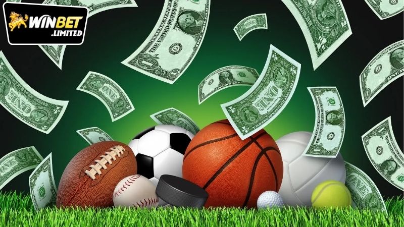 Hiểu rõ về kinh nghiệm cược thể thao Winbet từ cao thủ