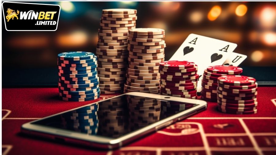 Hỗ trợ khách hàng và dịch vụ hậu mãi